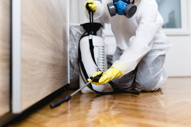 Best Mosquito Control Services  in Monteagle, TN