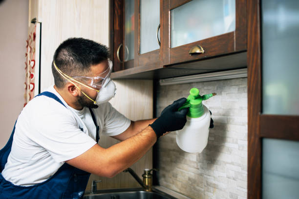 Best Wildlife Control Services  in Monteagle, TN