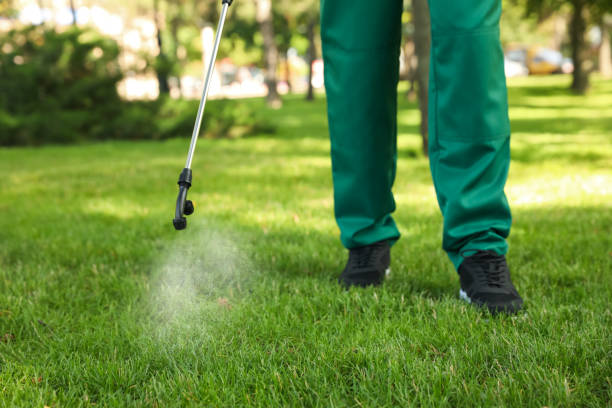 Best Termite Control Services  in Monteagle, TN