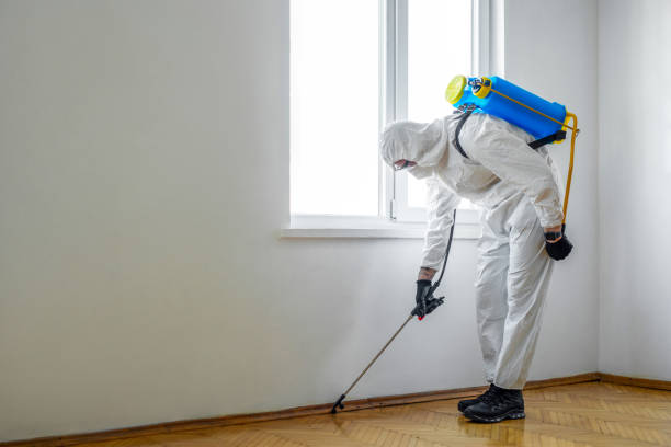Best Best Pest Control Companies  in Monteagle, TN