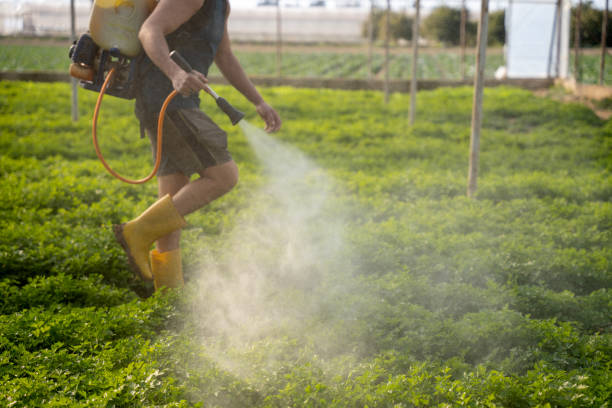 Pest Prevention Services in Monteagle, TN