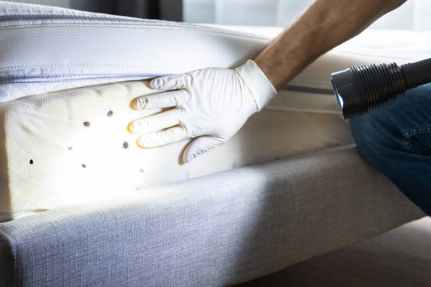 Best Bed Bug Extermination  in Monteagle, TN