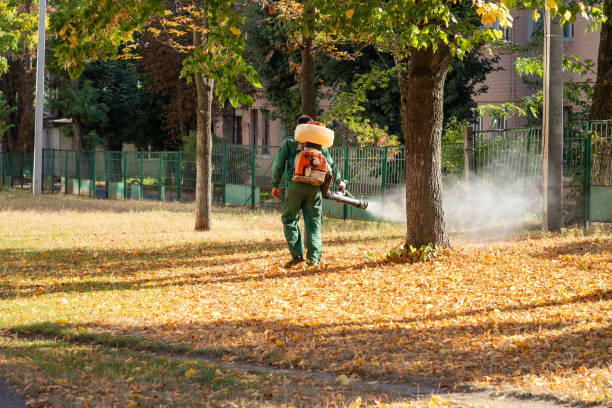 Best Wasp Removal Services  in Monteagle, TN