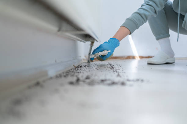 Best Pest Prevention Services  in Monteagle, TN