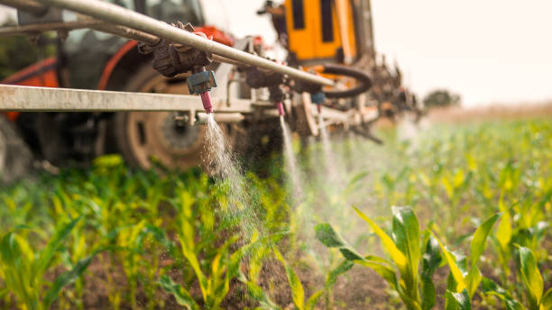 Professional Pest Control in Monteagle, TN